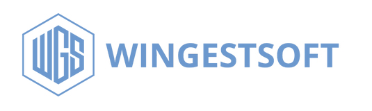 Témoignage client : L’entreprise Wingestsoft
